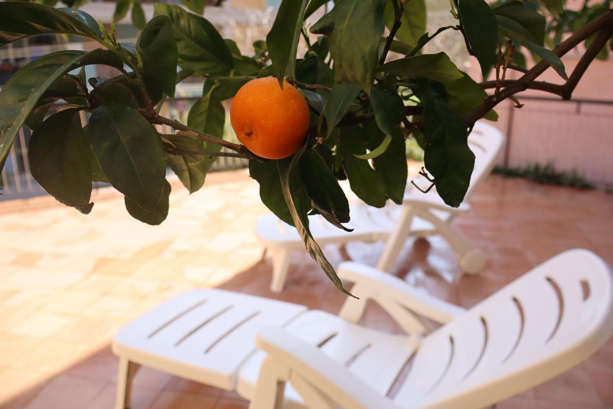 Giulio'S Terraces In The Bay Apartment Porto Venere Exterior foto